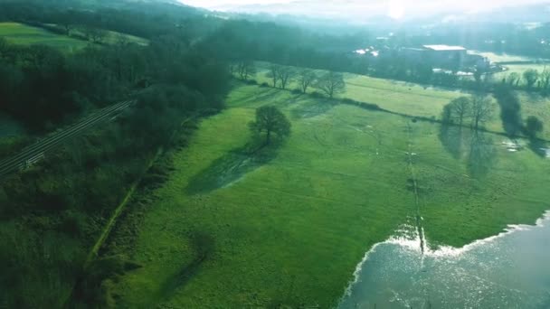 Drone View Campo Ensolarado Campo Verde Planície Verde — Vídeo de Stock