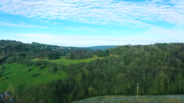 Aerial Flying Green Plain Forests 免版税图库视频片段