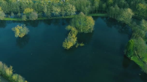 Schöne Luftaufnahme Eines Sees Mit Fliegenden Vögeln Wilder Natur Wasser — Stockvideo