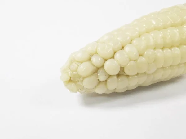 Close Corn White Background Copy Space — Stock Photo, Image