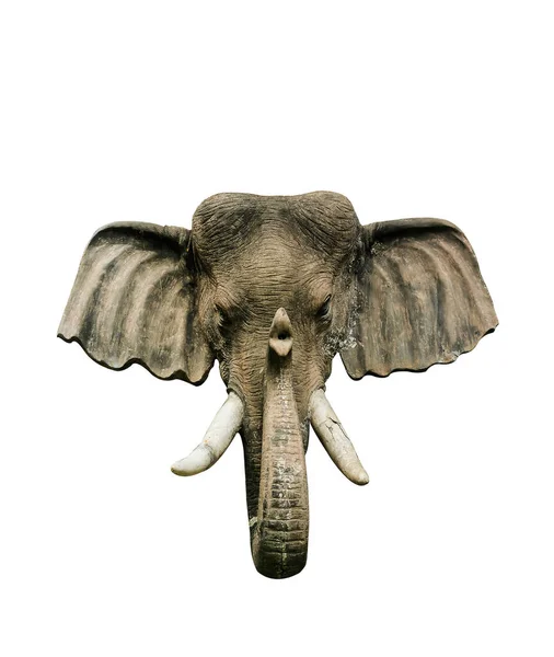 Modelo Cabeza Elefante Cerca Madera Aislada Sobre Fondo Blanco — Foto de Stock
