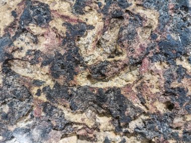 Yakın plan. Yanal dokudan yapılmış kopya alanı olan duvar.