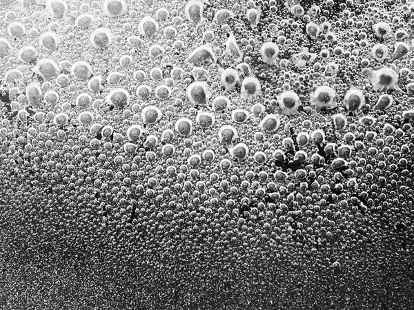 Abstract Blur Steam Bubbles Bottom Surface Pan Boiling Water Blurred — Stock Photo, Image