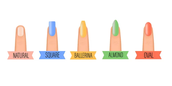 Nail shape Vector Art Stock Images | Depositphotos Nail shape Vector Art Stock Images | Depositphotos