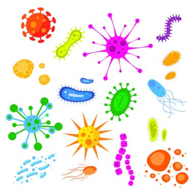 Mikroplar organik bakteri. 