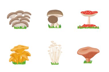 Mantar vektör koleksiyonu