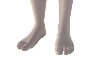 Üç boyutlu insan modeli. 3D Modellik İçin İnsan Referansı 'nın resimleri. Erkek ve kadın anatomisi referansı 3D model. Beyaz arka planda izole edilmiş insan vücudu. İnsan anatomisi grafik çizimi