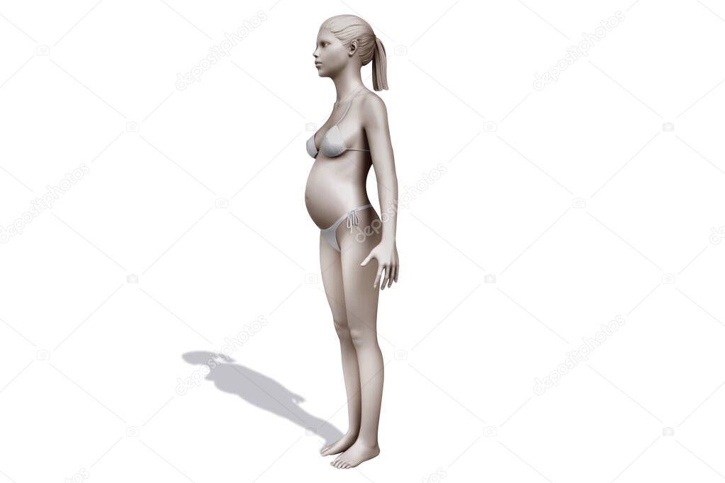 3d human model. Pictures of Human Reference For 3d Modeling. Man and woman anatomy reference 3d model. The human body isolated on white background. Human anatomy graphic drawing