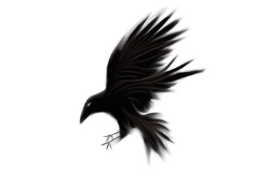 Kuzgun uçuş dijital sanat konseptinde 