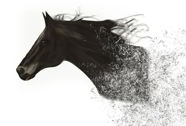速度の概念での黒い馬のギャロップ — ストック写真