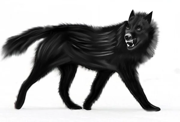 Full Body Black Wolf Showing Fangs — Stock Photo, Image