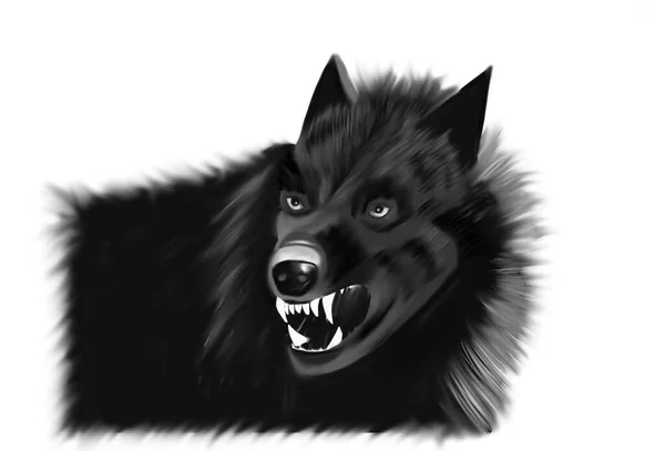 牙を示す黒いオオカミの頭 — ストック写真