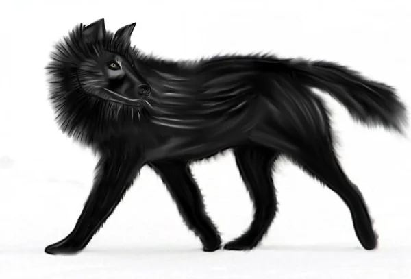 Black Wolf Illustration Isolated White Background — Stock Photo, Image