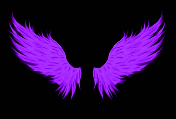 紫の天使の羽のイラストが黒の背景に隔離され — ストック写真