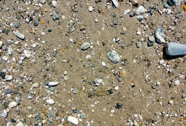 Scattered Wet Pebbles Sand — Stock Photo, Image