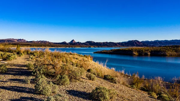 Arizona 'daki Alamo Gölü' nün insansız hava aracı görüntüsü Bill Williams Nehri üzerinde açık mavi gökyüzü ve su, kahverengi tepeler ve mor dağlar ve güzel çöl manzarası.