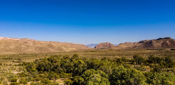 Bahar Dağı Parkı, Nevada, Ekim 'de kızıl kaya, yeşil bitki örtüsü ve mavi gökyüzü