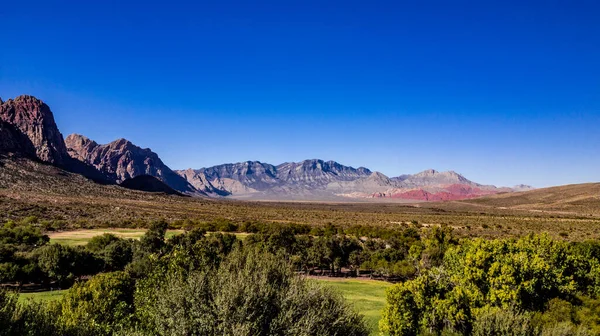 Spring Mountain State Park Nevada Říjnu Červenou Skálou Zelenou Flórou — Stock fotografie