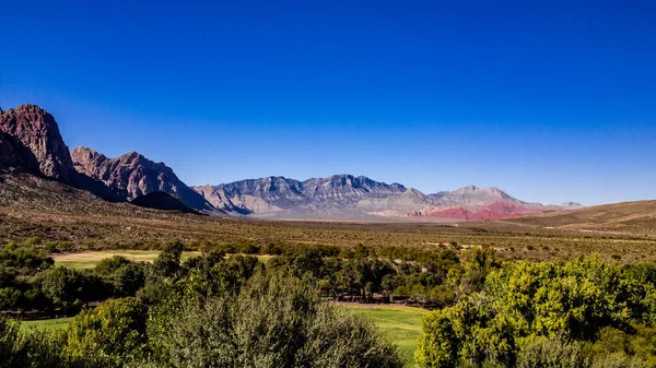 Bahar Dağı Parkı, Nevada, Ekim 'de kızıl kaya, yeşil bitki örtüsü ve mavi gökyüzü