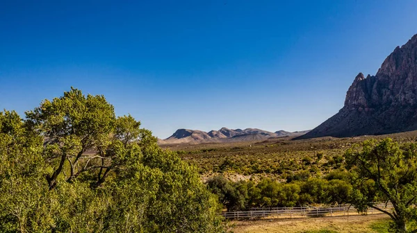 春の山州立公園 赤い岩 緑の植物 青い空と10月にネバダ州 — ストック写真