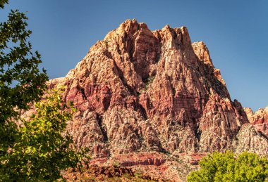 Bahar Dağı Parkı, Nevada, Ekim 'de kızıl kaya, yeşil bitki örtüsü ve mavi gökyüzü
