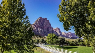 Bahar Dağı Parkı, Nevada, Ekim 'de kızıl kaya, yeşil bitki örtüsü ve mavi gökyüzü