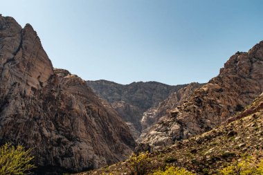 Bahar Dağı Parkı, Nevada, Ekim 'de kızıl kaya, yeşil bitki örtüsü ve mavi gökyüzü