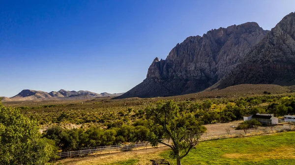 Bahar Dağı Parkı, Nevada, Ekim 'de kızıl kaya, yeşil bitki örtüsü ve mavi gökyüzü