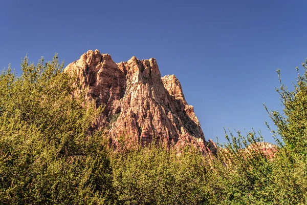 Bahar Dağı Parkı, Nevada, Ekim 'de kızıl kaya, yeşil bitki örtüsü ve mavi gökyüzü