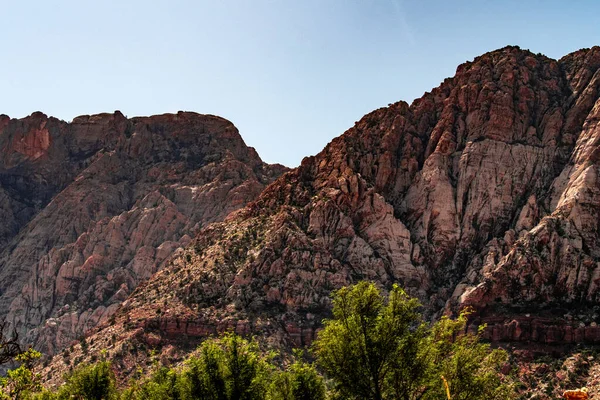 Spring Mountain State Park Nevada Oktober Met Rode Rots Groene — Stockfoto