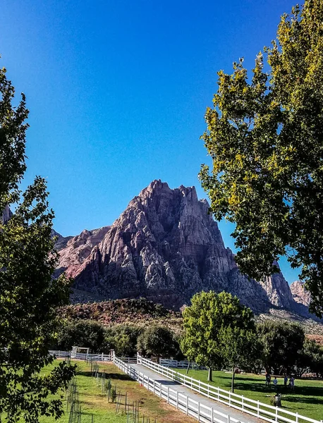 Bahar Dağı Parkı, Nevada, Ekim 'de kızıl kaya, yeşil bitki örtüsü ve mavi gökyüzü