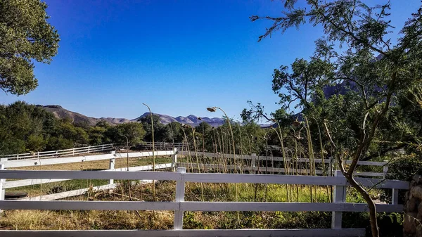 Bahar Dağı Parkı, Nevada, Ekim 'de kızıl kaya, yeşil bitki örtüsü ve mavi gökyüzü