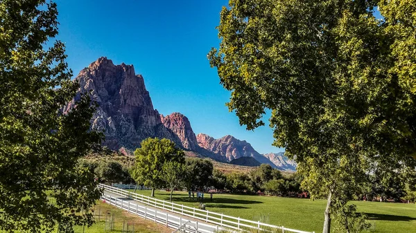 Bahar Dağı Parkı, Nevada, Ekim 'de kızıl kaya, yeşil bitki örtüsü ve mavi gökyüzü