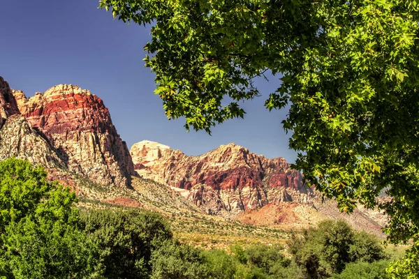 Bahar Dağı Parkı, Nevada, Ekim 'de kızıl kaya, yeşil bitki örtüsü ve mavi gökyüzü