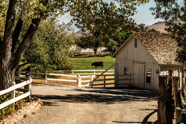 Bahar Dağı Parkı, Nevada, Ekim 'de kızıl kaya, yeşil bitki örtüsü ve mavi gökyüzü