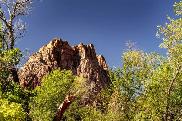 Bahar Dağı Parkı, Nevada, Ekim 'de kızıl kaya, yeşil bitki örtüsü ve mavi gökyüzü