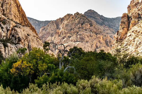 Bahar Dağı Parkı, Nevada, Ekim 'de kızıl kaya, yeşil bitki örtüsü ve mavi gökyüzü