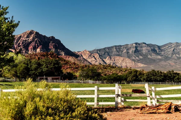 Bahar Dağı Parkı, Nevada, Ekim 'de kızıl kaya, yeşil bitki örtüsü ve mavi gökyüzü