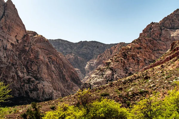Bahar Dağı Parkı, Nevada, Ekim 'de kızıl kaya, yeşil bitki örtüsü ve mavi gökyüzü