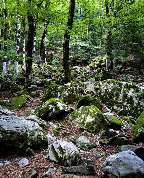 Ordesa Doğal ParkA yürüyüş yapmayı ve güzel şelaleleri olan her şeyden kopmayı sevenler için harika bir yer. Korsanların doğasını keşfetmek için mükemmel..