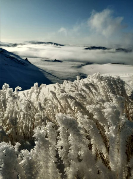 Karlı ve volkanik kayaları olan kuzey buzul dağları