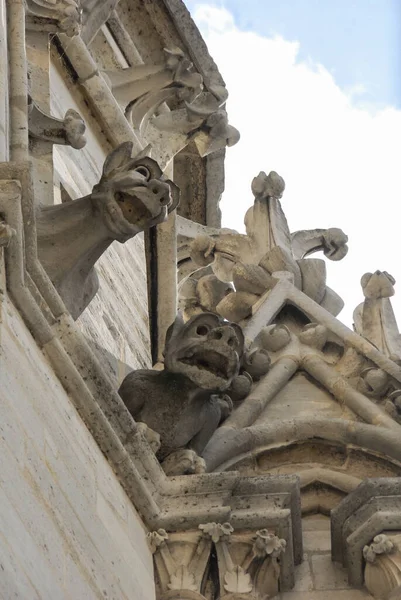 Gargulce Notre Dame Paris Francja — Zdjęcie stockowe