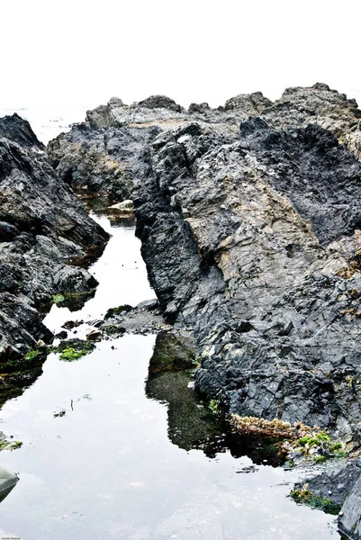 Rock Beach Rocce Rosse Nuova Zelanda — Foto Stock