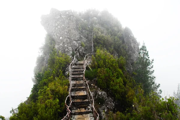 Pico Ruivo, yürüyüş, Madeira Adası, Portekiz. Siste Miradouro Bakış Adımları