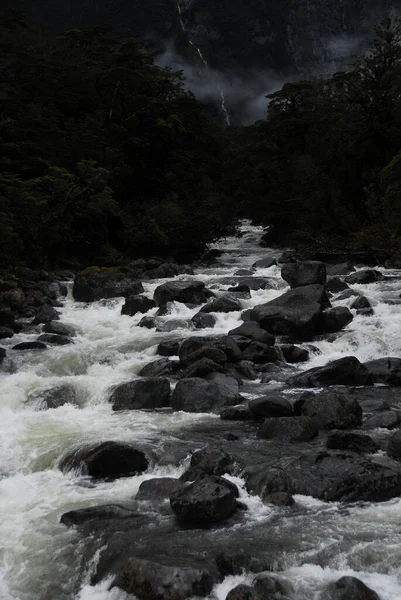 Río Milford Sounds Nueva Zelanda — Foto de Stock