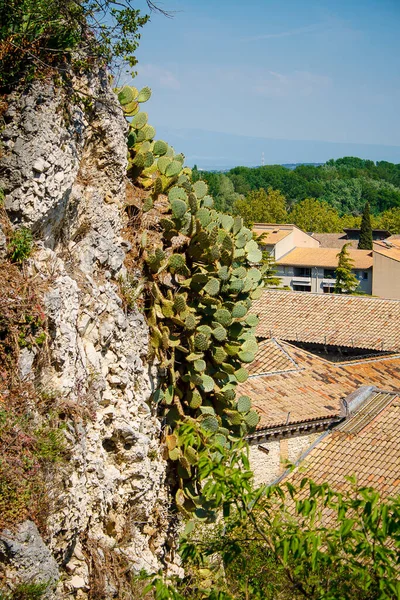  Burası Provence Avignon 'daki eski kasaba.