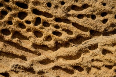 Kayalıklar boyunca kum taşı. Kayalar yıpranma ve aşınma nedeniyle deliklerle doludur. Yıpranmış kumtaşı dokusu arkaplanı