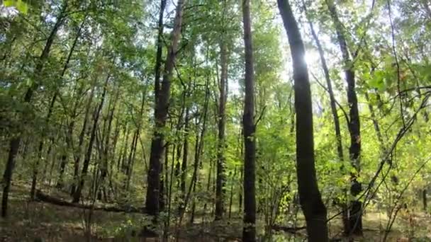 City Park par une journée ensoleillée au début de l'automne 