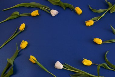 Laleli tebrik kartı, şablon, renkli arkaplanda Boşluğu kopyala