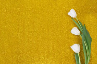 Laleli tebrik kartı, şablon, renkli arkaplanda Boşluğu kopyala